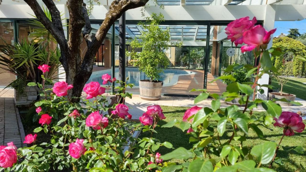 Fontana Oasis Apartments Castelnuovo del Garda Bagian luar foto